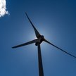 Polenergia stawia na wiatr: Aukcja szansą na sukces