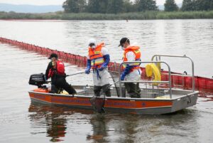 Katastrofa ekologiczna na Mazowszu – z rzek wyłowiono blisko 600 kilogramów martwych ryb